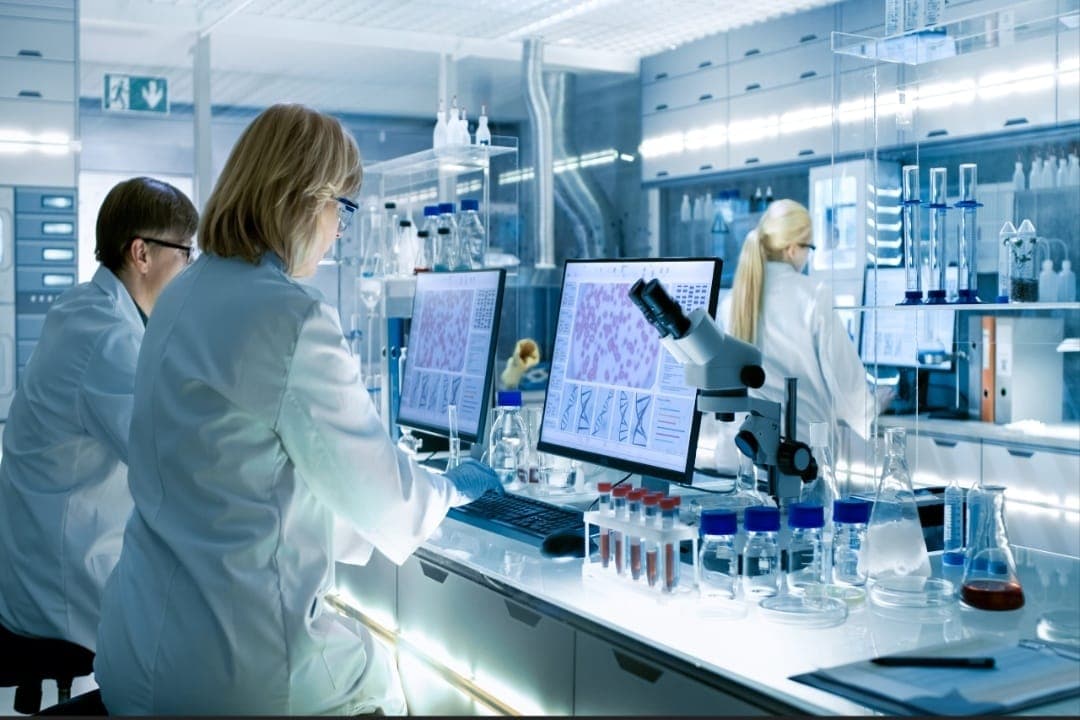 Scientists analysing data in a pharmaceutical research laboratory
